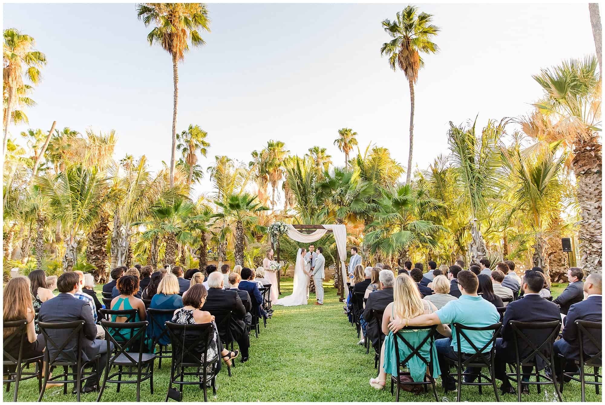Cabo Farm Wedding acre wedding, sara richardson photography, cabo wedding, cabo wedding photographer, wedding in Cabo